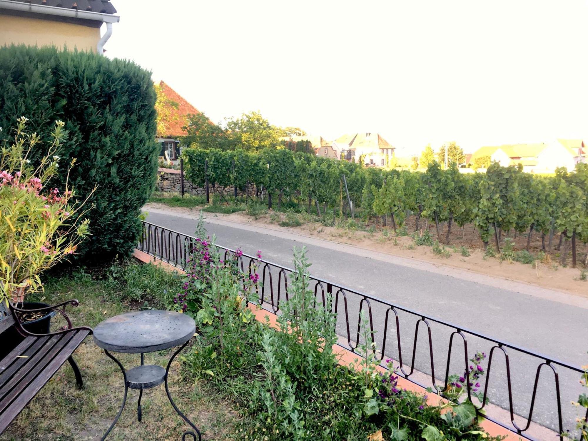 Ferienwohnung Suedpfalzblick 부르바일러 외부 사진